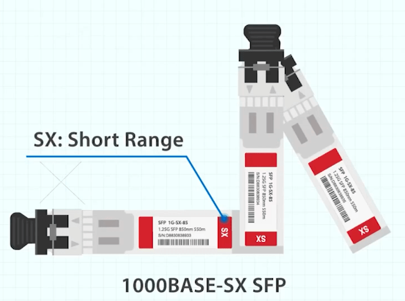 SX SFP